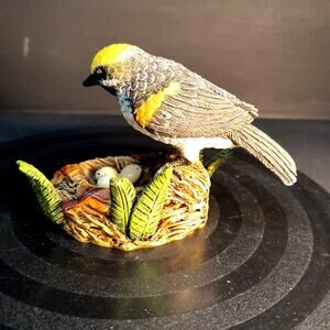 131.  Golden Winged Warbler on nest